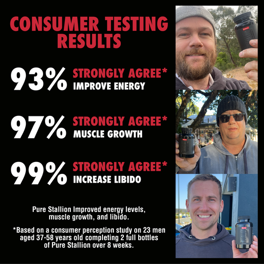 Pure Stallion