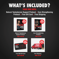 Pure Stallion V2 - Esteem Strong