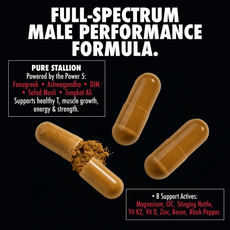 Pure Stallion V2 - Esteem Strong